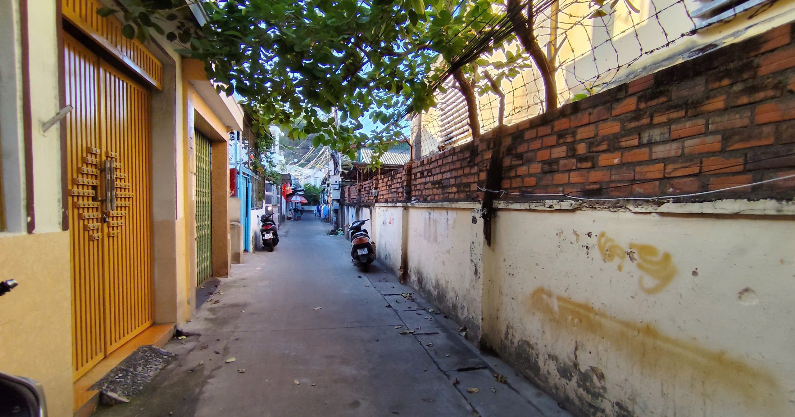 z7568079788555 28c0c1da4f57ac8750603f34dfd9c2c3 e1772187366168